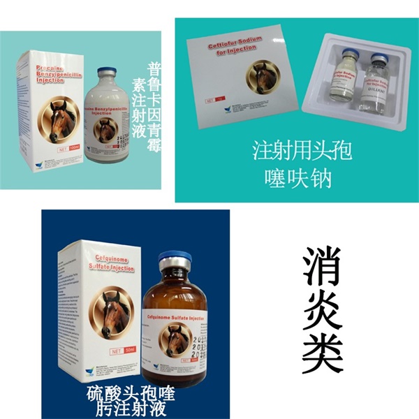 C:\Users\Administrator\Desktop\图\【CHF 2018】新增一份海外订单，展商展品抢先预告！\【CHF 2018】新增一份海外订单，展商展品抢先预告！.files\image009.jpg