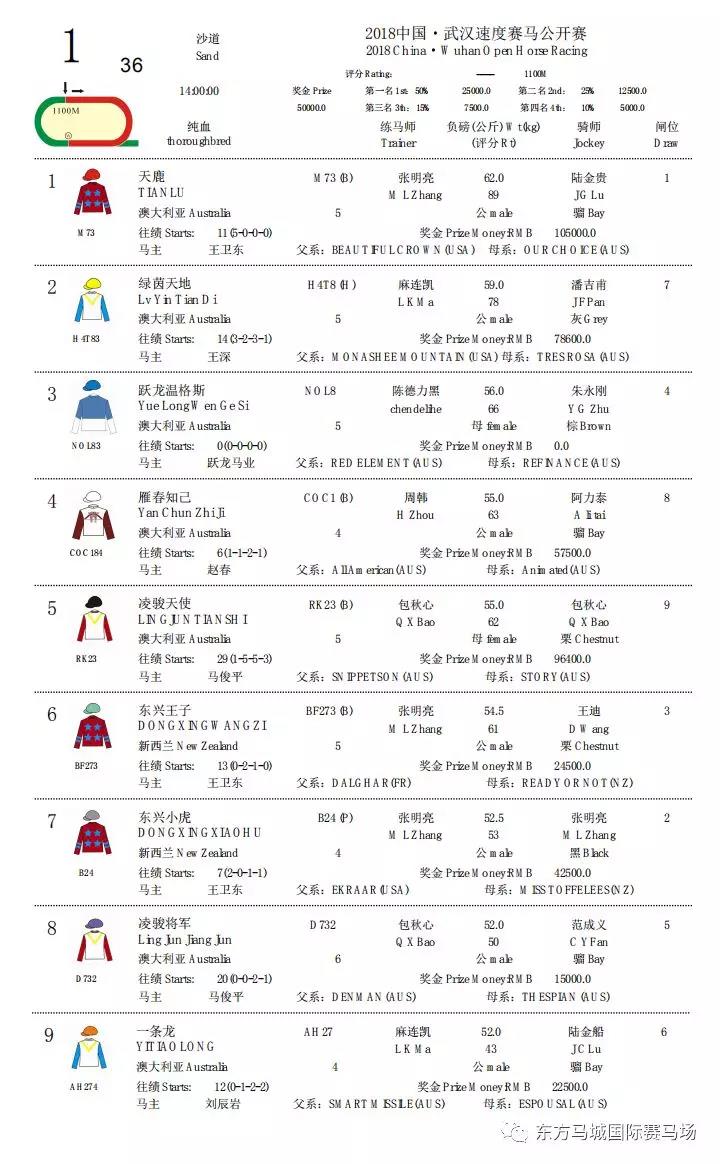武5.jpg