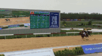 4.gif