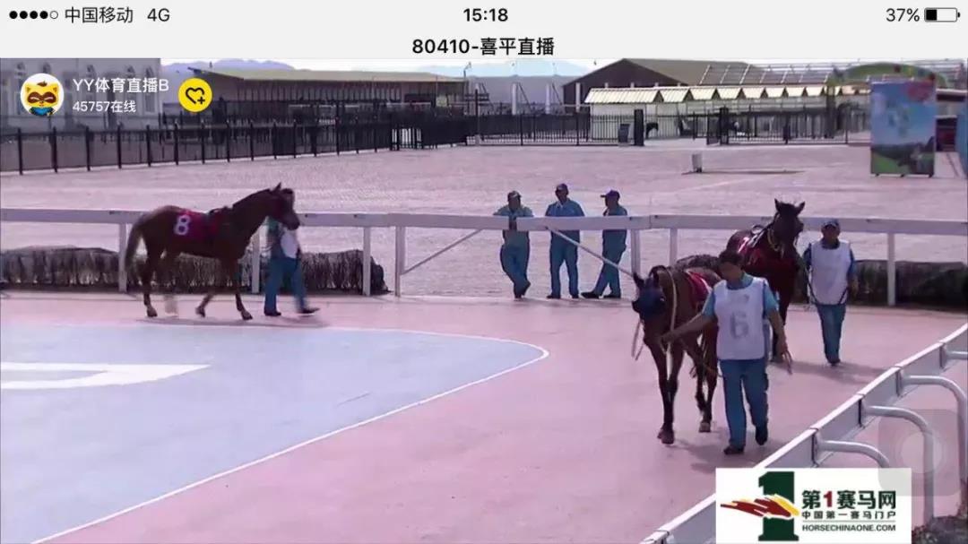 莱德1.jpg