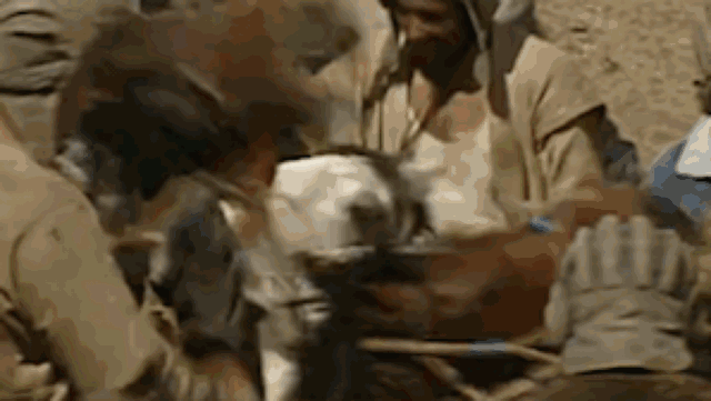 640.gif