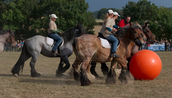 horse_football_2_by_karabasik.jpg