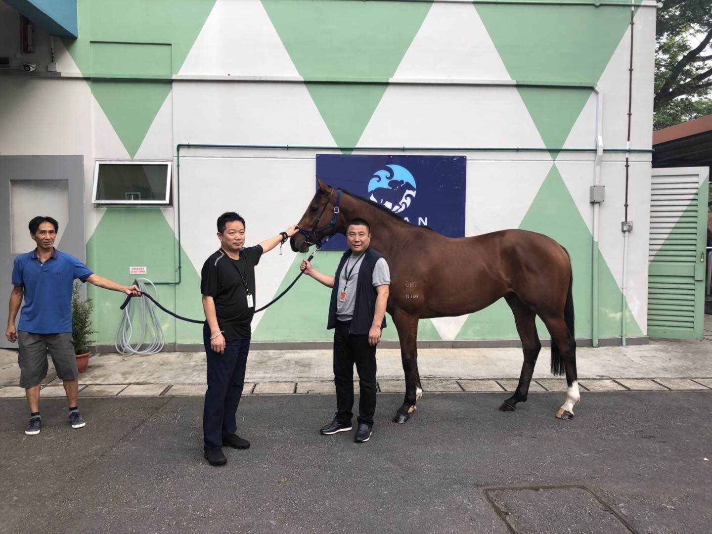 陈洪伟.jpg