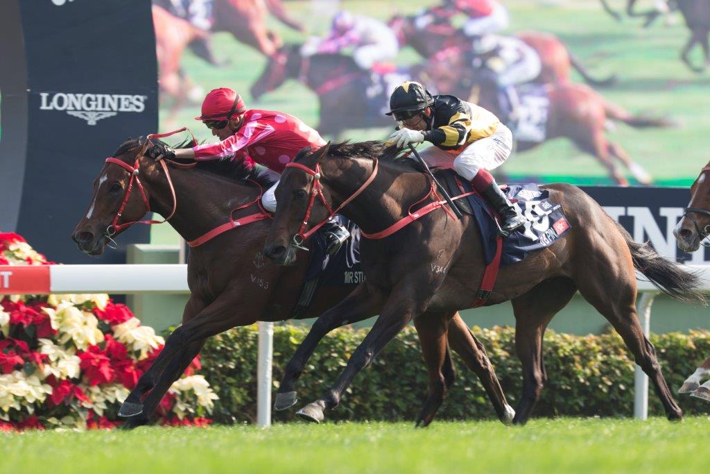 短途王「紅衣醒神」首次揚威國際賽.jpg