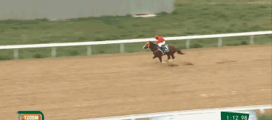 b1.gif