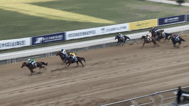 b1.gif
