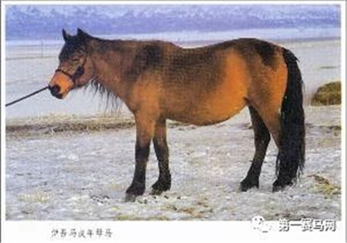 b4.jpg