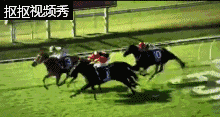 1.gif