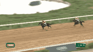 5a.gif