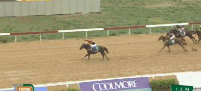 2.gif