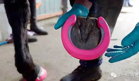 blob.png