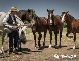 微信图片_20190107220707.jpg