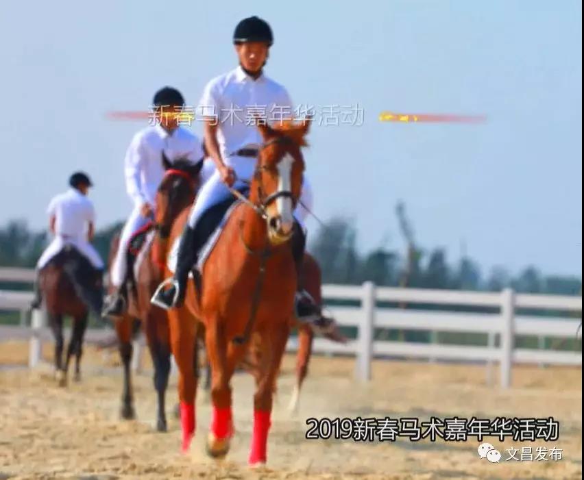 微信图片_20190130115307.jpg
