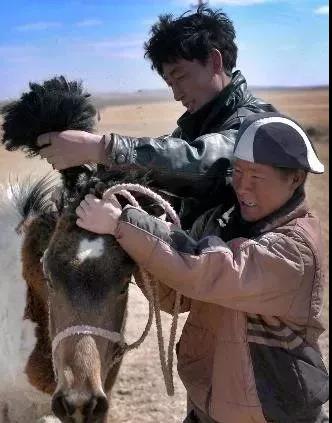 微信图片_20190203175243.jpg