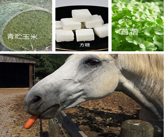 微信图片_20190205225005.jpg