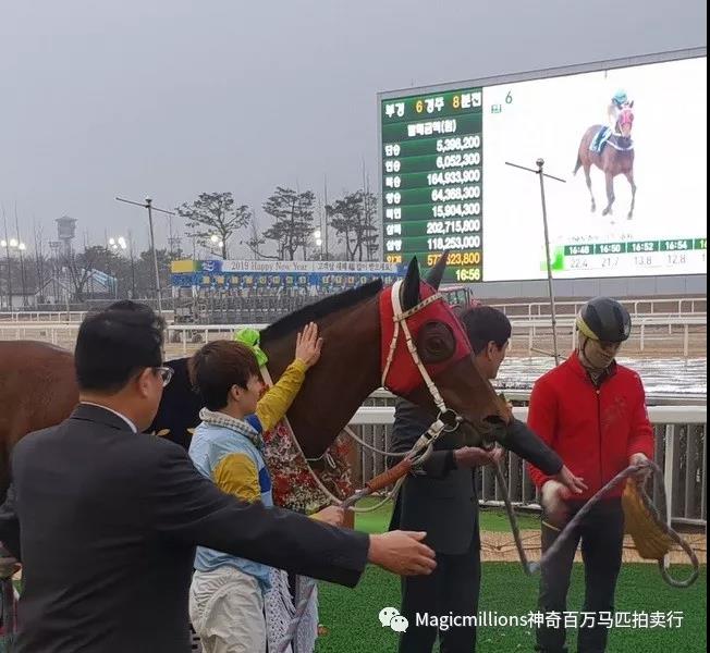 微信图片_20190206214356.jpg