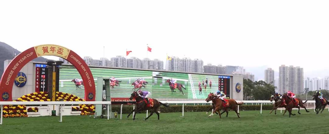 微信图片_20190209113928.jpg