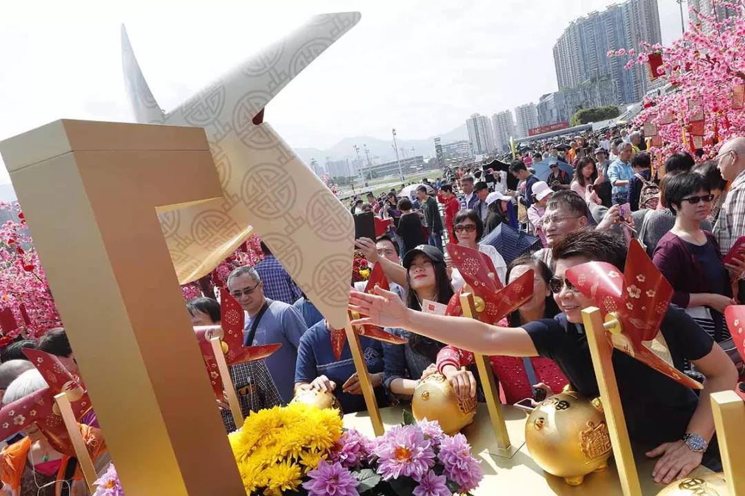 微信图片_20190209114055.jpg