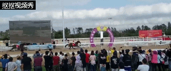 微信图片_20190210111031.gif