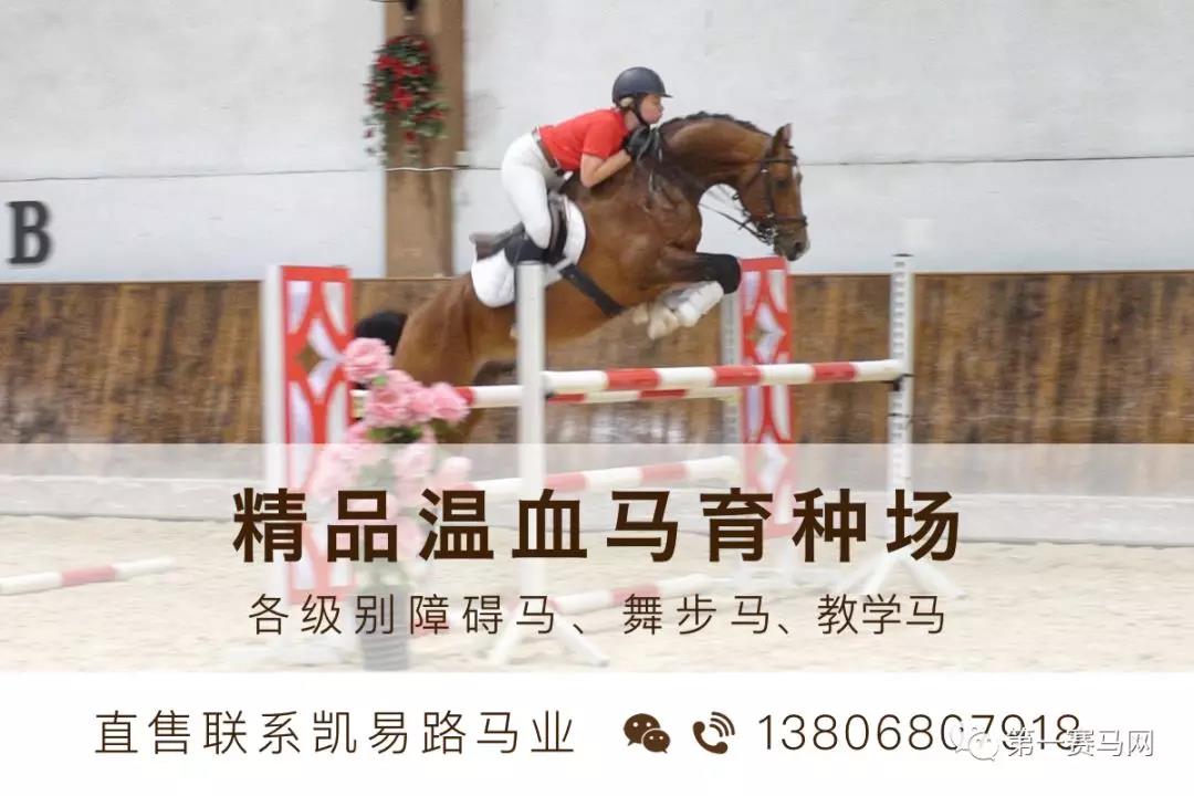 微信图片_20190223152101.jpg