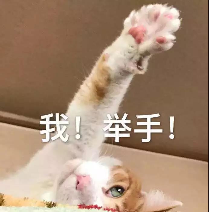 微信图片_20190301134854.jpg
