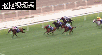 微信图片_20190316100444.gif
