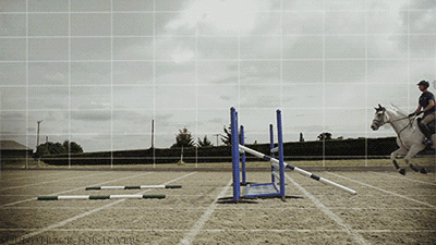 微信图片_20190320142752.gif