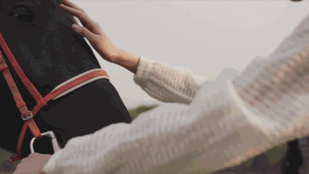 微信图片_20190320142759.gif