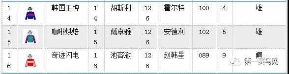 102.jpg