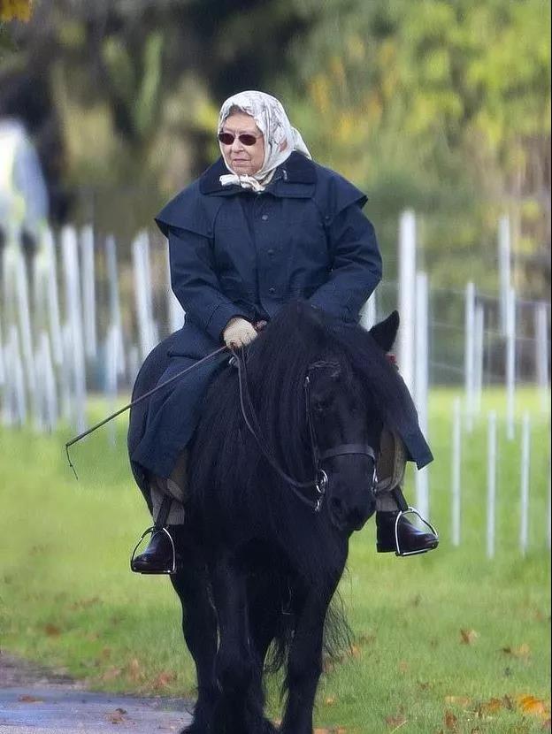 3.7.jpg 3.7.jpg