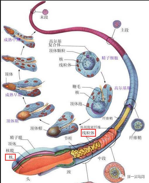 微信图片_20200622113848.jpg