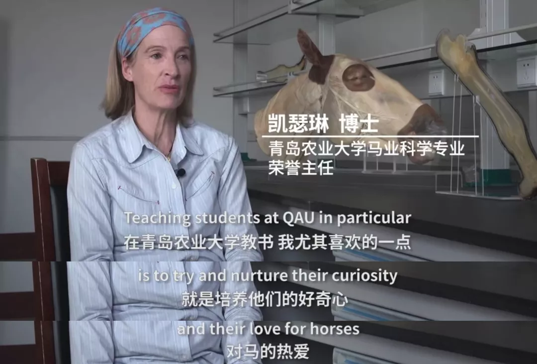 微信图片_20200731093112.png