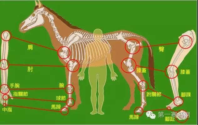 微信图片_20200820093940.jpg