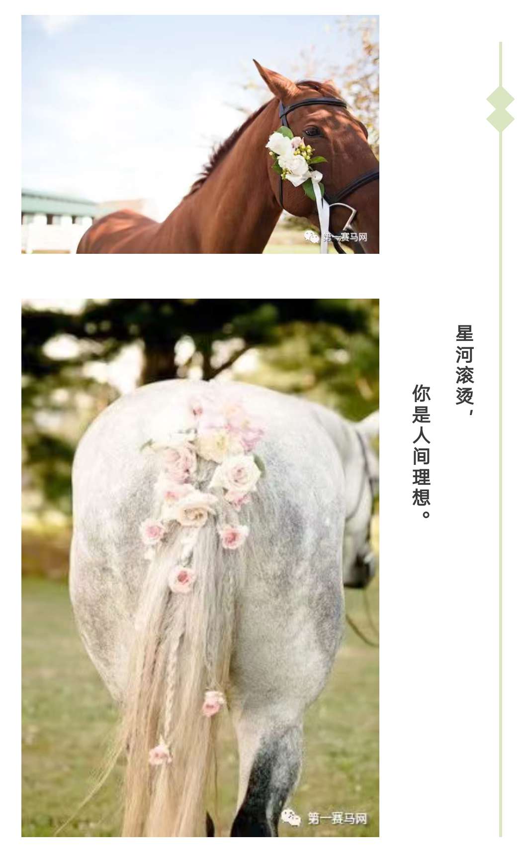 微信图片_20200826093640.jpg