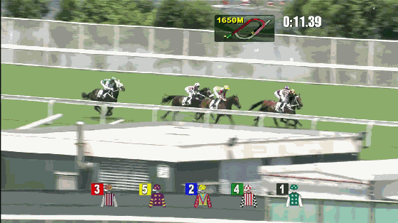 图片3.GIF