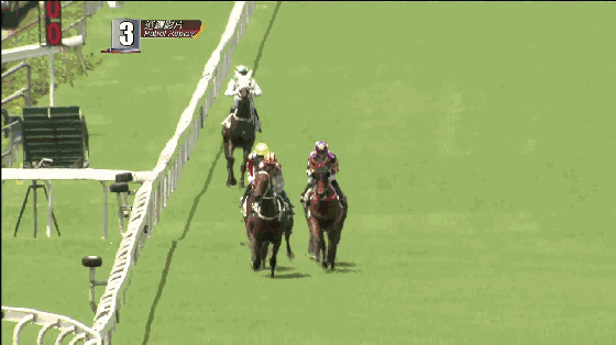 图片4.GIF