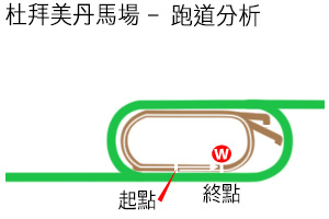 dubai_meydan_2000m_dirt_analysis_ch.jpg