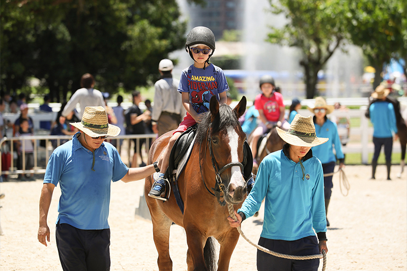 activities-page-carnival-pony.jpg